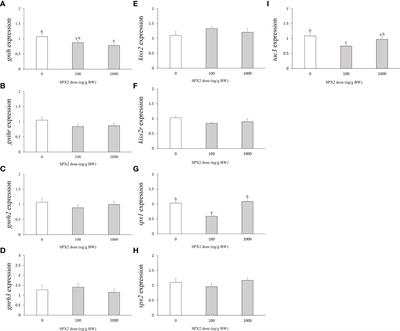 New evidence for SPX2 in regulating the brain-pituitary reproductive axis of half-smooth tongue sole (Cynoglossus semilaevis)